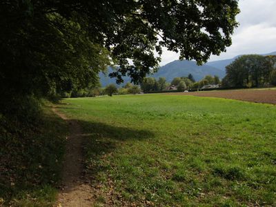 Wanderwege direkt um die Ecke