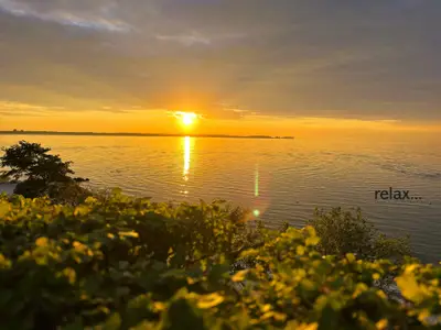 Ferienwohnung für 4 Personen (40 m²) in Stein (Probstei) 9/10