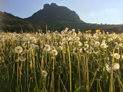 unser Hausberg