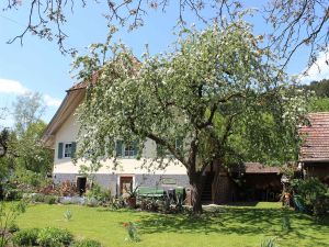 Haus mit Apfelbaum