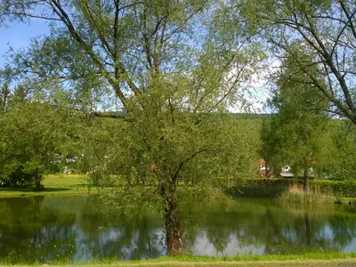Weiher im Dorf