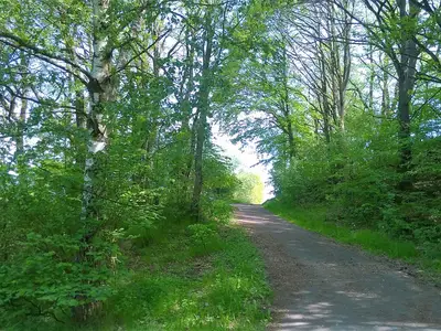 Wandern in der Natur