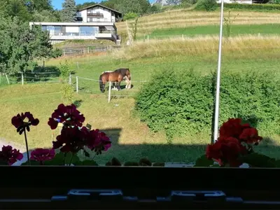 Ferienwohnung für 3 Personen (35 m²) in Steinbach am Attersee 6/10