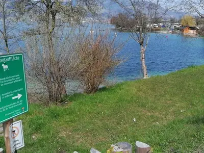 Ferienwohnung für 3 Personen (35 m²) in Steinbach am Attersee 8/10