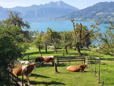 Ferienwohnung für 5 Personen (80 m²) in Steinbach am Attersee 6/10