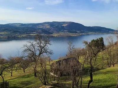 Ferienwohnung für 5 Personen (80 m²) in Steinbach am Attersee 10/10