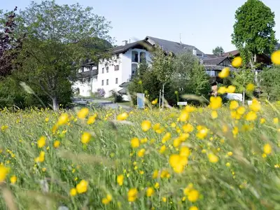 Ferienwohnung für 4 Personen (55 m²) in Steinbach am Attersee 2/10