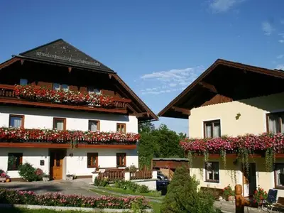 Ferienwohnung für 3 Personen (42 m²) in Steinbach am Attersee 1/9