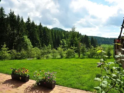 Ferienwohnung für 4 Personen (50 m²) in Steinbach-Hallenberg 7/7