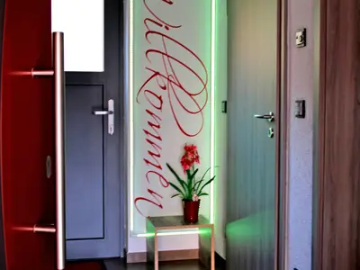 Ferienwohnung für 2 Personen (60 m²) in Steinbach-Hallenberg 9/10