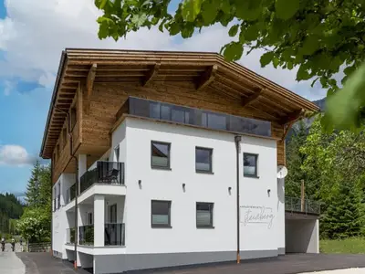 Ferienwohnung für 4 Personen (56 m²) in Steinberg am Rofan 4/10