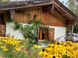 Ferienwohnung für 4 Personen (45 m²) in Steinberg am Rofan