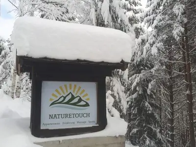 Ferienwohnung für 4 Personen (55 m²) in Steinberg am Rofan 6/10