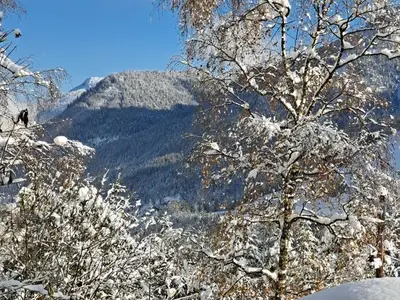 Ferienwohnung für 4 Personen (55 m²) in Steinberg am Rofan 7/10