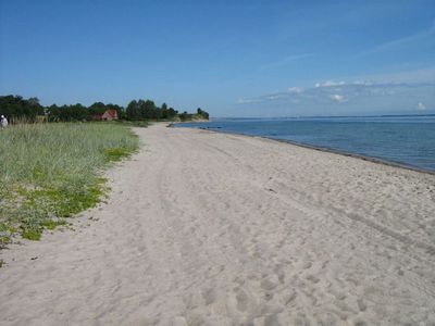 Ferienwohnung für 7 Personen (100 m²) in Steinberg (Schleswig-Holstein) 5/10