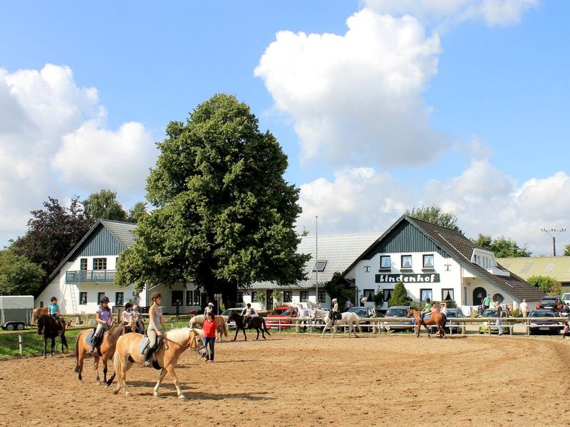 22181063-Ferienwohnung-6-Steinberg (Schleswig-Holstein)-800x600-1