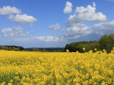 Frühling