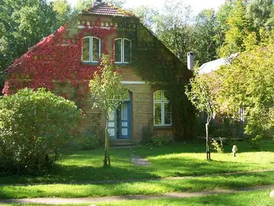 Ferienwohnung für 4 Personen (52 m²) in Steinberg 2/10