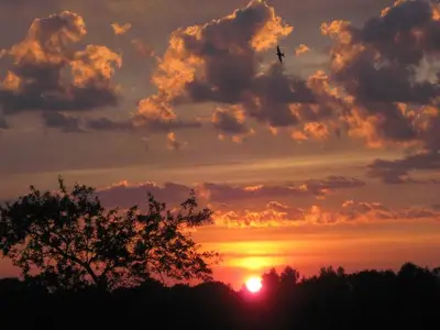 Ferienwohnung für 7 Personen (100 m²) in Steinberg 10/10
