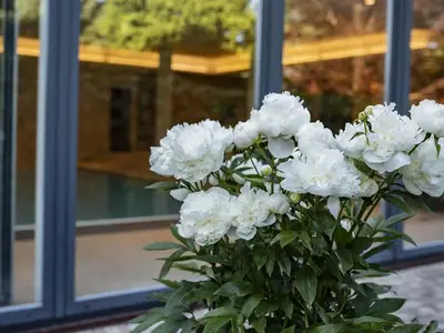 Ferienwohnung für 2 Personen (60 m²) in Steindorf am Ossiacher See 10/10