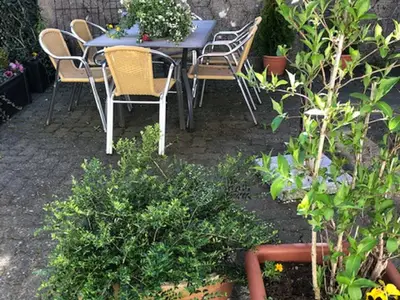 Blumen im Innenhof