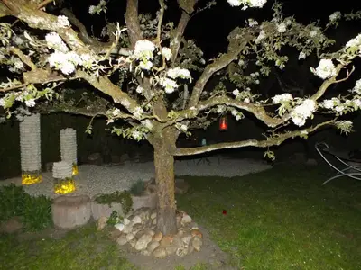 Sommernächte