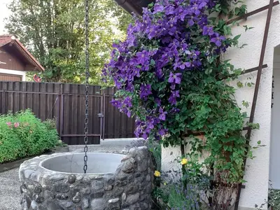 Ferienwohnung für 2 Personen (60 m²) in Steingaden 2/10