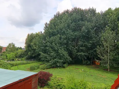 ViewSummer