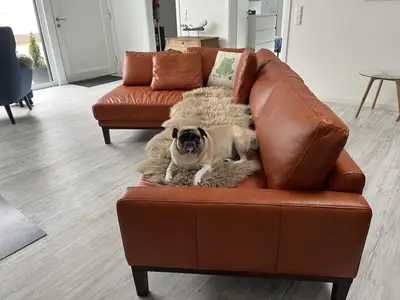 Ferienwohnung für 6 Personen (120 m²) in Steinhude 5/10