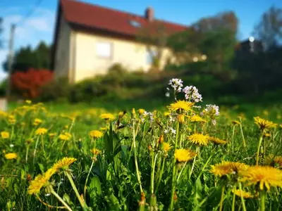 Ferienwohnung für 3 Personen (56 m²) in Steinigtwolmsdorf 5/10