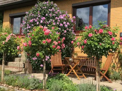 Ferienwohnung für 3 Personen (65 m²) in Steinkirchen 5/10