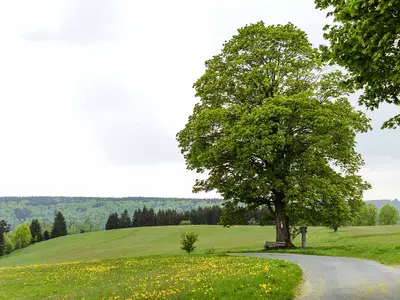 Nordhalben