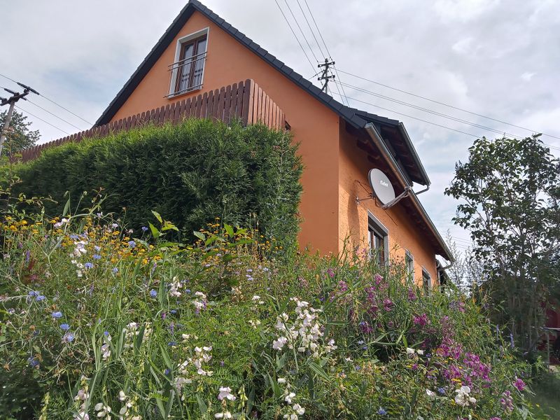 23588576-Ferienwohnung-4-Steinwiesen-800x600-1