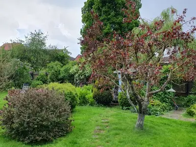 Ferienwohnung für 3 Personen (40 m²) in Stiege 9/10