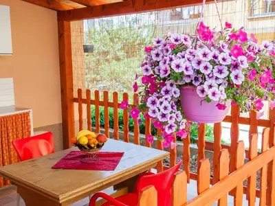 terrace