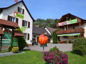 Ferienwohnung für 4 Personen (60 m²) in Stockach