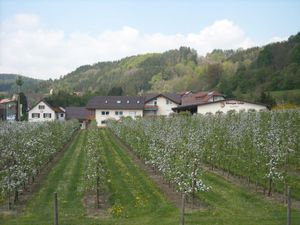 23540903-Ferienwohnung-4-Stockach-300x225-2