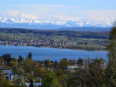 Blick zum See