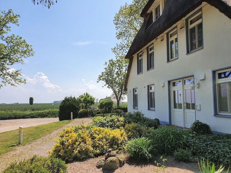 23516656-Ferienwohnung-4-Stolpe auf Usedom-800x600-1