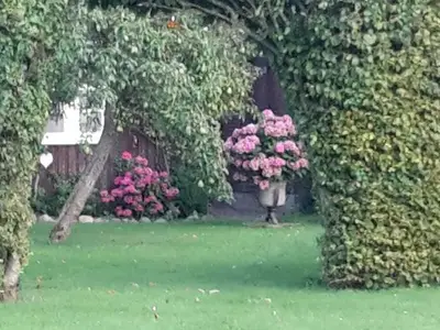 Ferienwohnung für 3 Personen (90 m²) in Stoltebüll 5/10