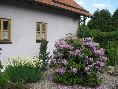 Ferienwohnung für 4 Personen (75 m²) in Störnstein 4/10