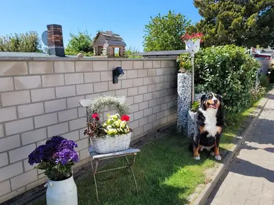 Ferienwohnung für 5 Personen (60 m²) in Stralsund 2/10