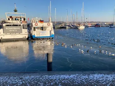Ferienwohnung für 3 Personen (26 m²) in Stralsund 2/10