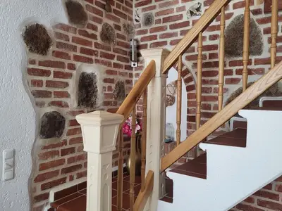 Ferienwohnung für 3 Personen (51 m²) in Stralsund 6/10