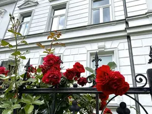 Ferienwohnung für 6 Personen (137 m²) in Stralsund