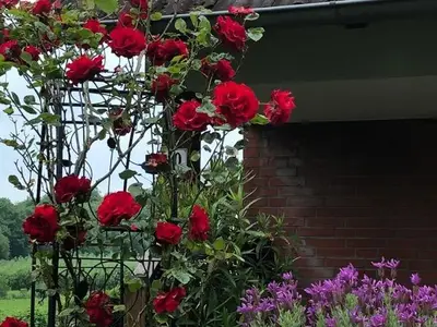 Ferienwohnung für 3 Personen (65 m²) in Strande 9/10