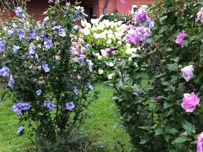 Ferienwohnung für 3 Personen (65 m²) in Strande 10/10