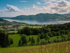 22503323-Ferienwohnung-4-Straß im Attergau-300x225-2