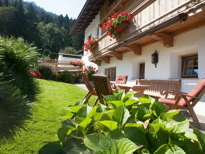 Hausfoto Sommer