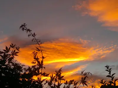 bezaubernde Natur